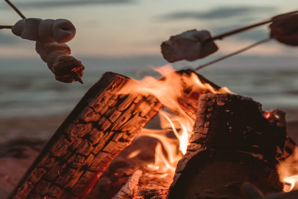 Roasting marshmallows around a bon fire during spring after using one of the best delta-8 strains for spring. 