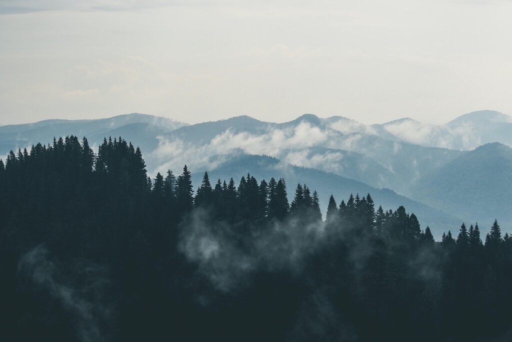 Mountains coated in fog. 