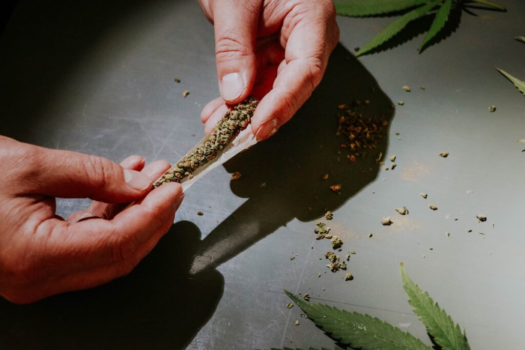 Understanding cannabis begins by understanding THC — this person is rolling a marijuana joint. 