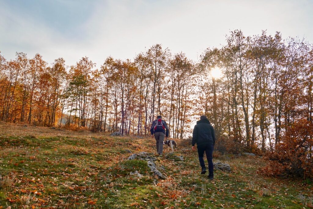Hiking as a helpful way tot boost your energy in the fall. 