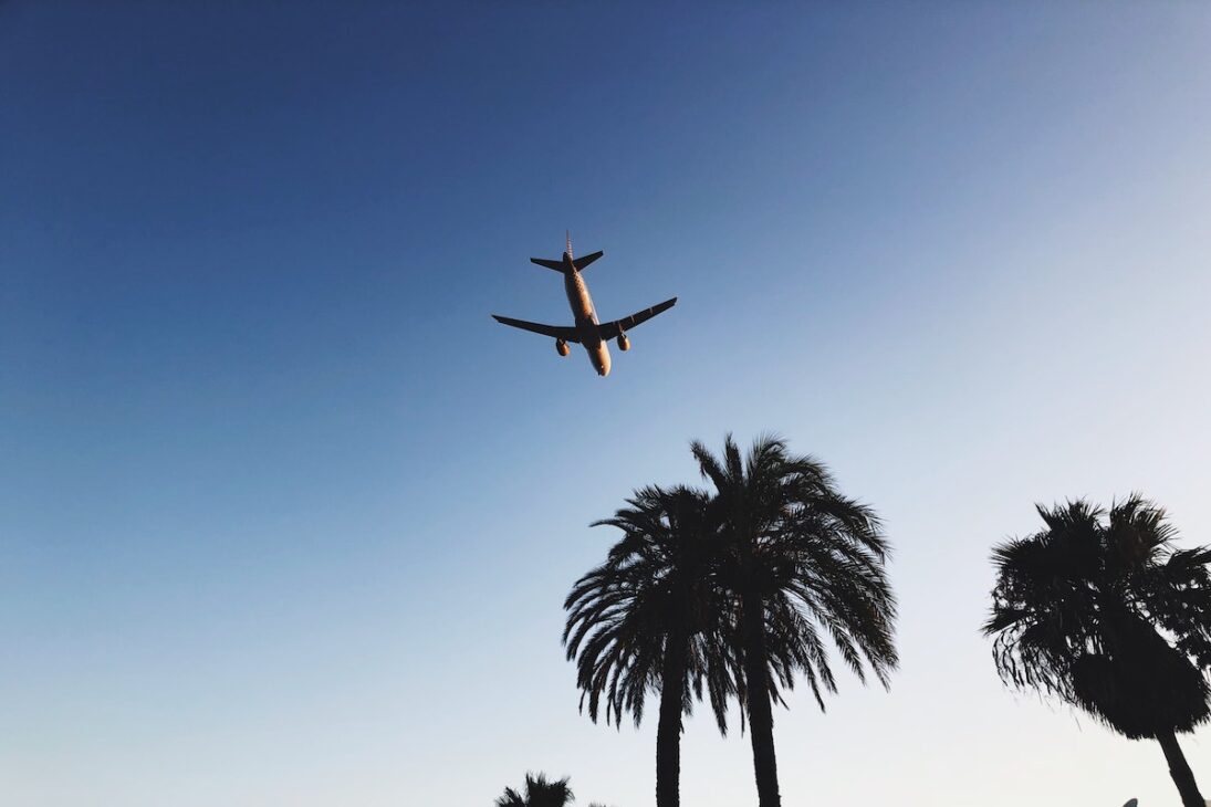 Airplane over palm trees. 