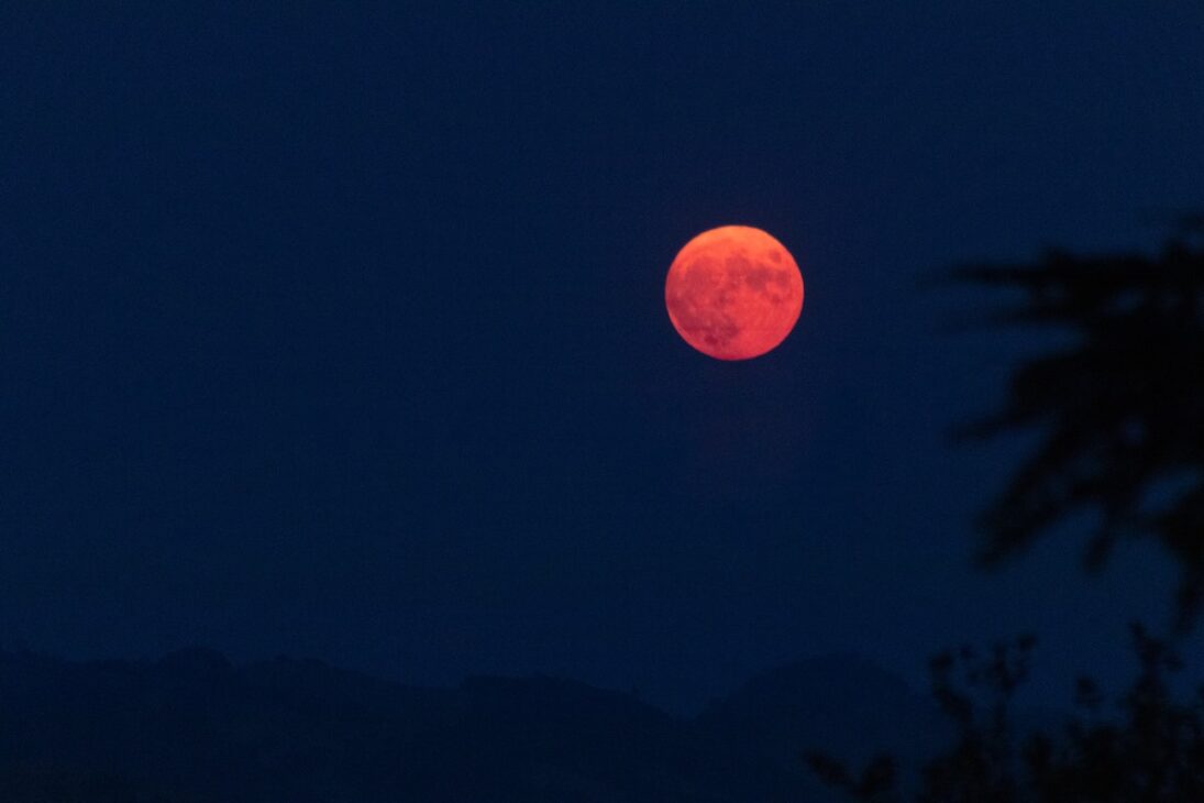 Bright orange full moon. 