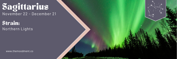 Northern Lights makes one of the best cannabis strains for zodiac signs, if you're a Sagittarius. 