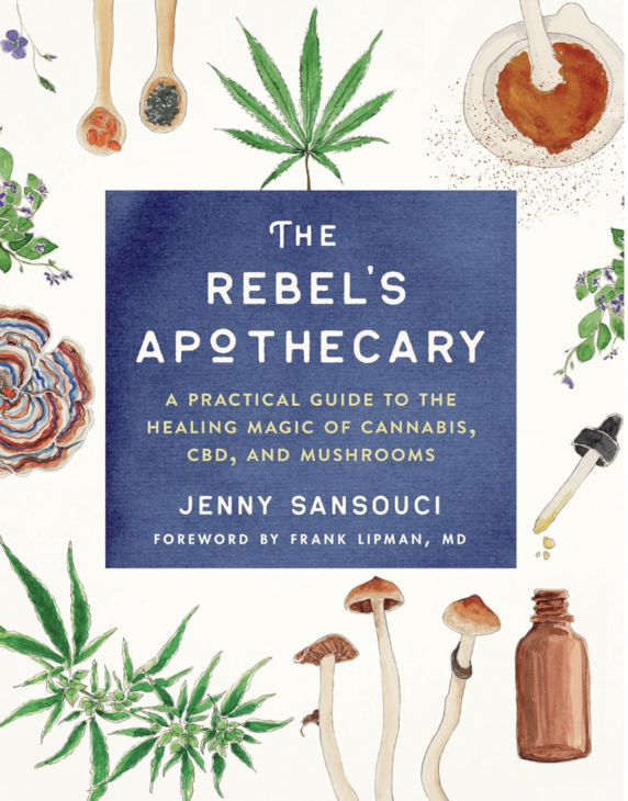The Rebel's Apothecary book is one of the best life changing self-help books