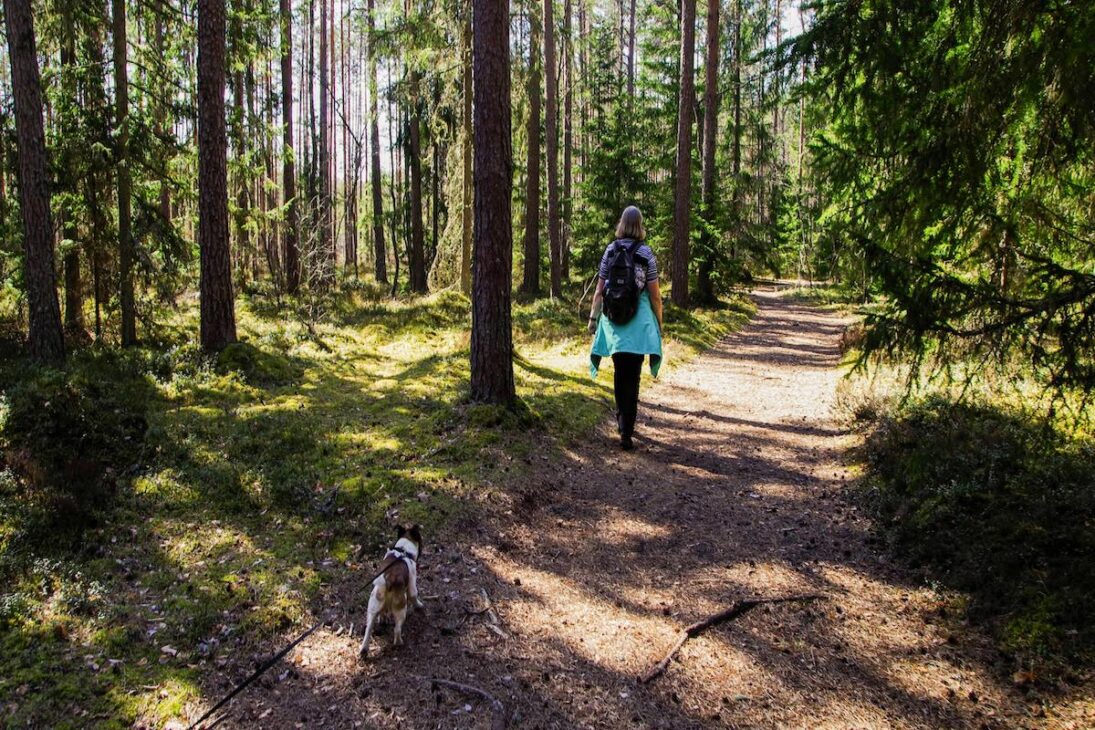 Woman and her dog walking for exercise in the woods 