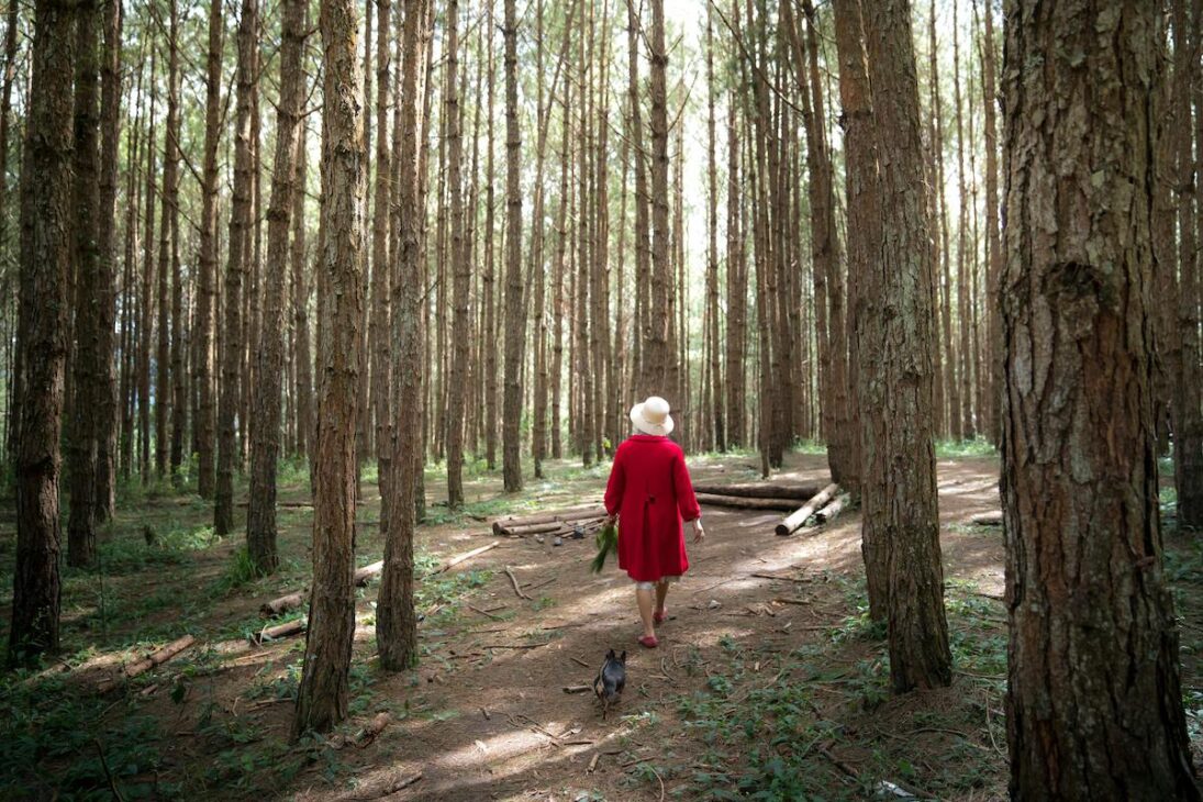 Woman walking for exercise in the woods 
